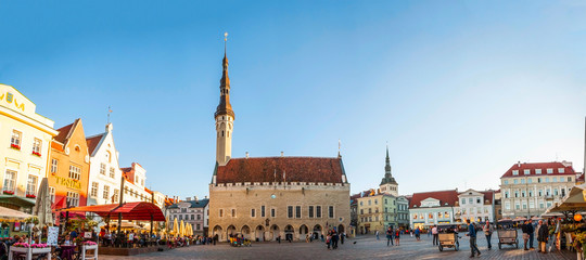Tallinn Town Hall, Estonia - obrazy, fototapety, plakaty