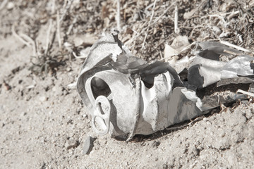 Obraz premium Old can close up