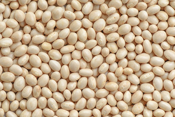 Navy bean background