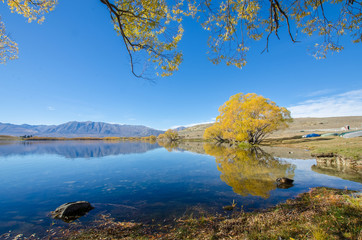 Beautiful autumn landscape in Lake McGregor,Canterbury Region, New Zealand