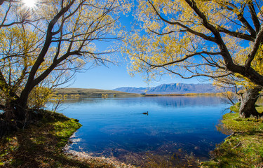 Beautiful autumn landscape in Lake McGregor,Canterbury Region, New Zealand