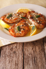 grilled chicken breast with sage, garlic and oil closeup. Vertical
