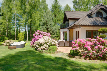 Garden full of flowers