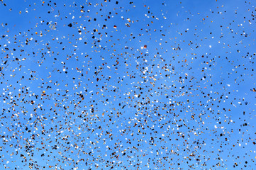  falling confetti in the city festival