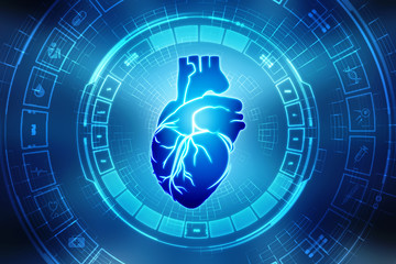 Human Heart - Anatomy of Human Heart