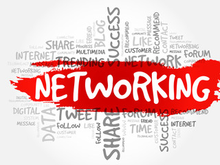 Networking word cloud, business concept