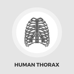 Human thorax flat icon