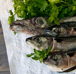 blue fish freshly caught great for a healthy diet ready to be cooked with parsley and lemon oil