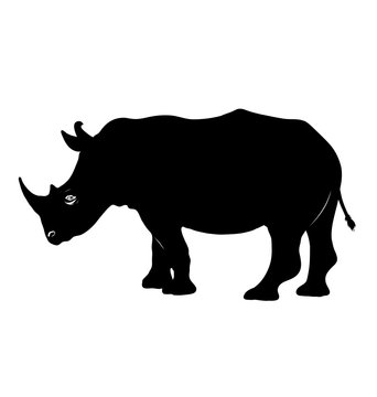 rhino  silhouette. black and white vector image