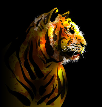 Digital painting of a tiger's head. Vector illustration