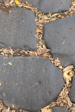 Appia Antica Regina Viarum basolato romano