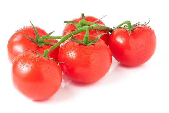 branch five tomatoes isolated on white background