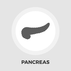 Pancreas icon flat