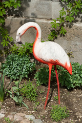 artificial concrete flamingos