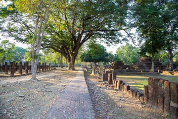 Walkway in the garden
