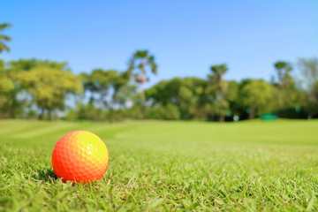 Golf ball on green with blurred beautiful nature scene backgroun