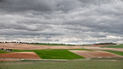 Green cultivated fields against cloudy stormy sky