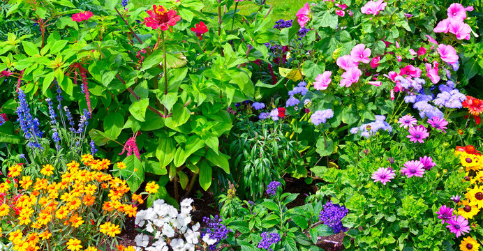 Blossoming flowerbeds