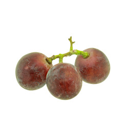 Grapes isolated on white background
