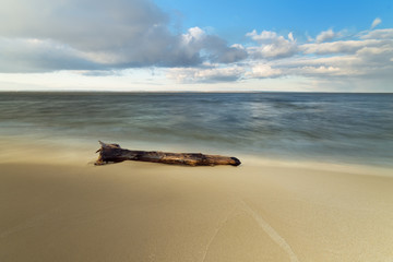 Fototapeta na wymiar log on the shore of the beach