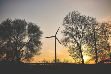 Elektrownia wiatrowa na tle wieczornego nieba pomiędzy drzewami - obrazy, fototapety, plakaty