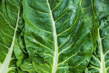 Swiss chard