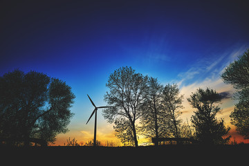 Fototapeta premium Elektrownia wiatrowa na tle wieczornego nieba pomiędzy drzewami