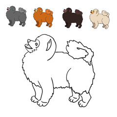 Cute spitz isolated on white background