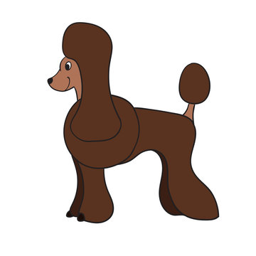 Cute cartoon brown poodle isolated on white background