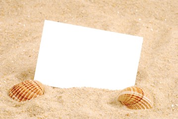 Summer. Summer background. Summer concept . Summer, sea shells with sand as background.