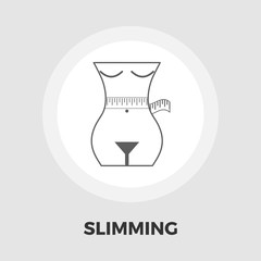 Diet concept icon flat