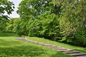 Beautiful green spring park. The journey nature.