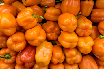 Background with fresh paprika, closeup