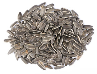 Sunflower Seeds