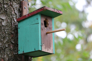 Vogelhaus im Wald