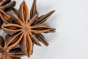 Star Anise Seed Pod Detail On White