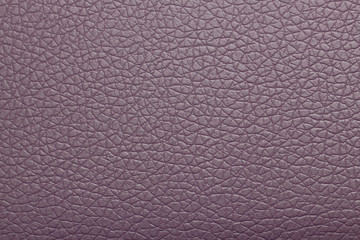 purple leather texture