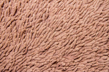 brown carpet texture