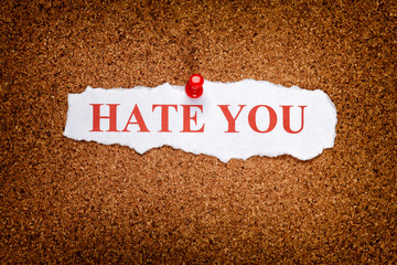 Torn piece of paper with phrase Hate you