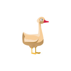 Goose Simplified Cute Illustration