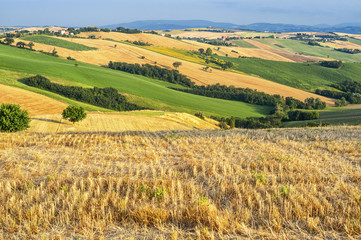 Fototapeta na wymiar Country landscape in Marches (Italy)