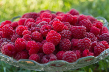 Raspberries in Glass Fruit Cup 
