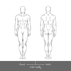 Healthy young man from front and back view in outline style. Male muscular body shapes vector linear illustration with the inscription: front and back. Vector outline illustration of a human figure