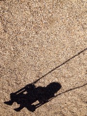ombra di bimba su altalena