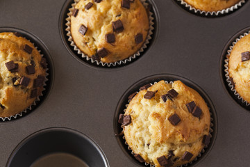 Freshly Baked Muffins