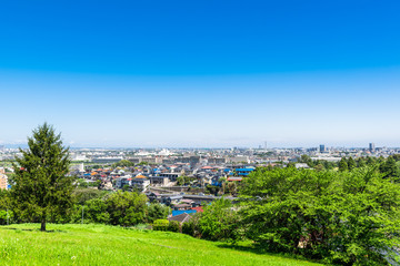 新緑の丘と住宅街