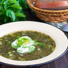 Green sorrel soup with egg and sour cream, square