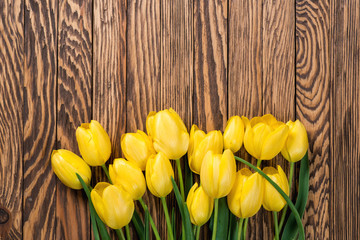 Fresh yellow tulips on a wooden background