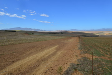 The rolling hills of the Western Cape of South Africa in Autumn