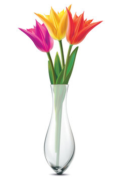 Bouquet of tulips in a glass vase on a white. Vector illustratio